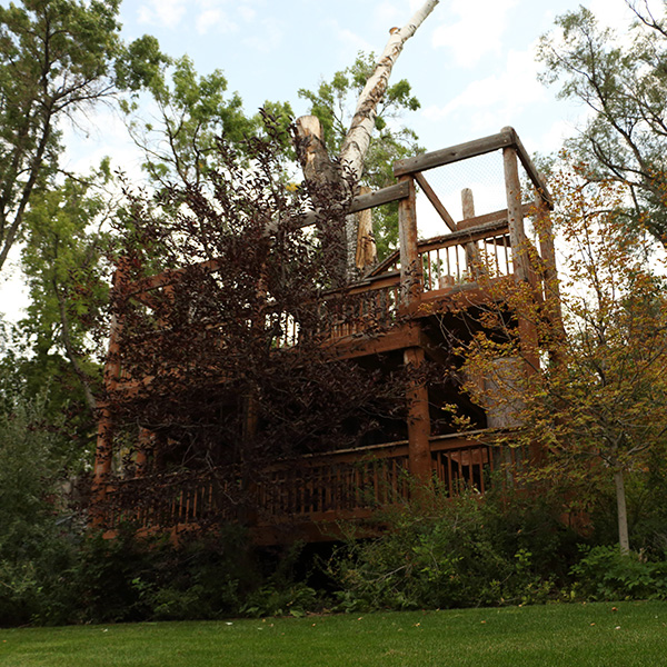 treehouse